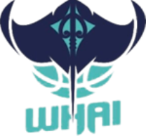 Whai