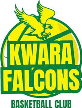 Kwara Falcons