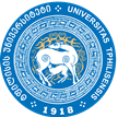 Tbilisi State University